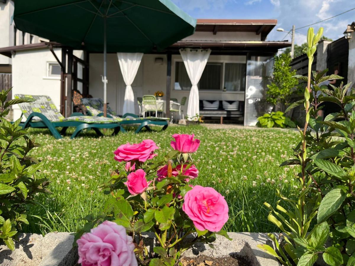 Charmante Petite Maison Transylvanie Villa Săcele Buitenkant foto
